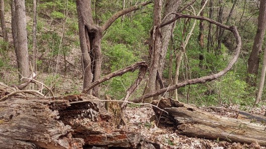 IMG_20230415_122720288_HDR